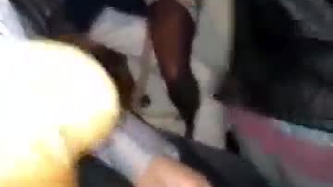 Happy to see our friend getting  fucked after booze