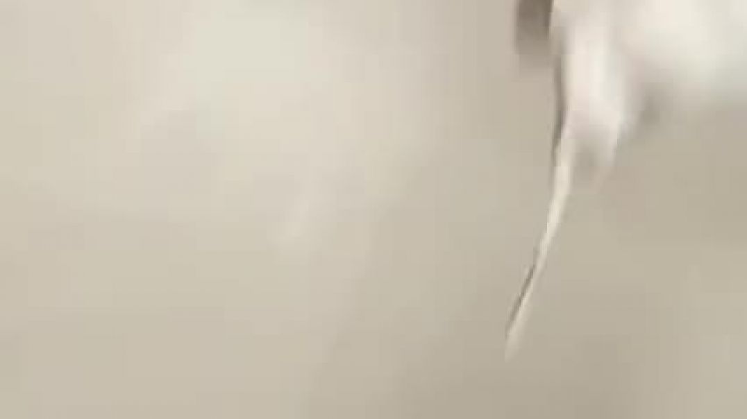 ⁣Sex in the toilet restaurant