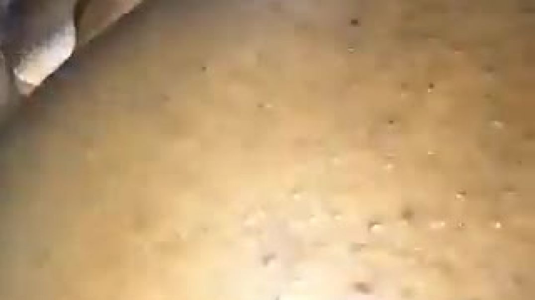 Trying-her-big-Asshole