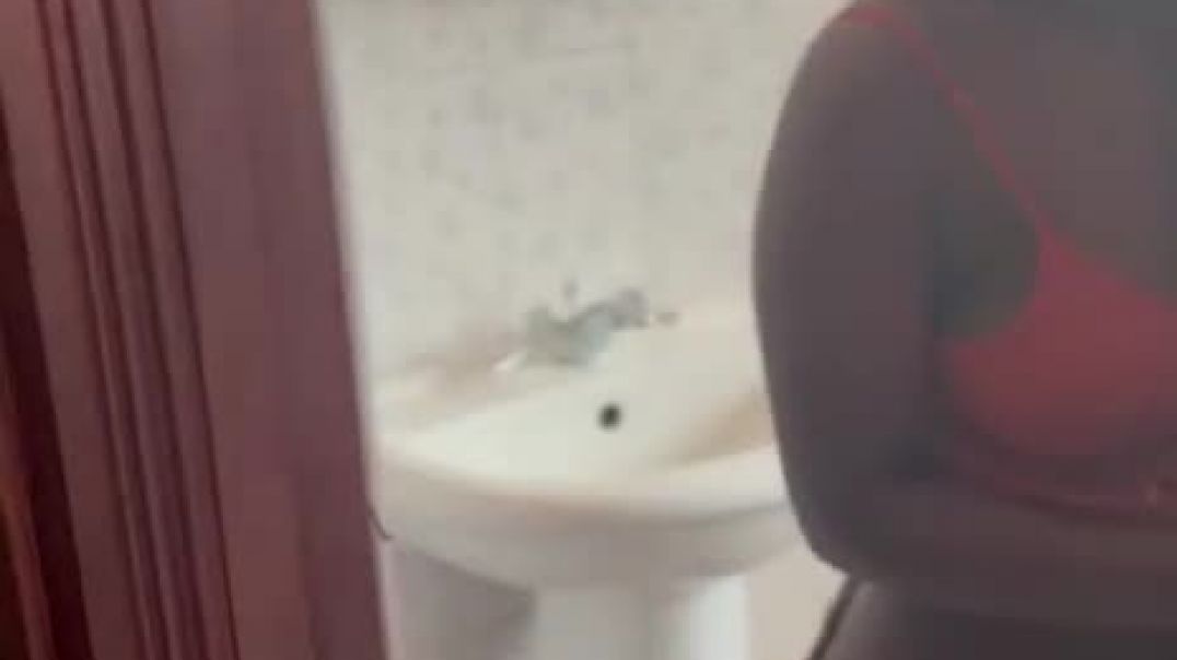 files_Ekasi_Adult_Videos_Ekasi_Porn_Videos_3sum in the toilet sunnyside