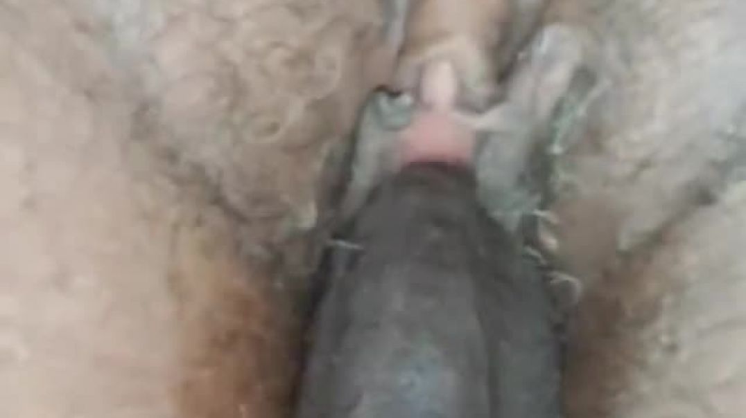 ⁣Fucking Big ass doggy